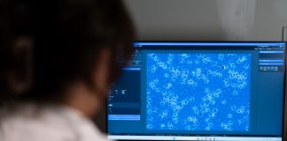 Williamtown PFAS levels could be impacting male reproductive health