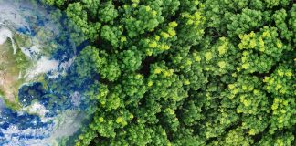 environmental health