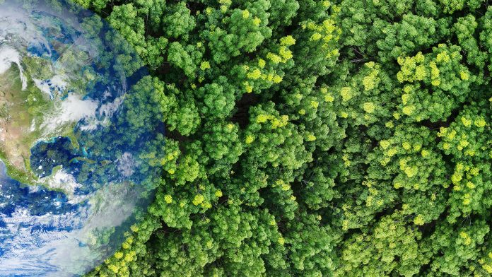 environmental health