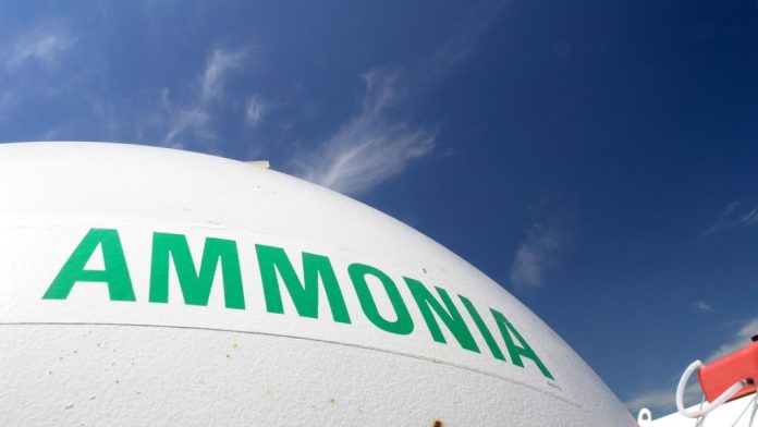 Industry leaders call for low-carbon ammonia to be recognised in UK Hydrogen Strategy