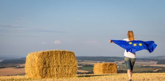 European agriculture