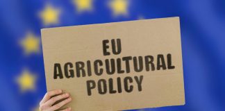 EU agriculture
