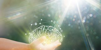 Maternal PFAS levels linked to children’s brain development, study finds