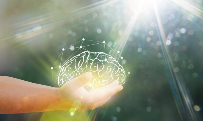 Maternal PFAS levels linked to children’s brain development, study finds