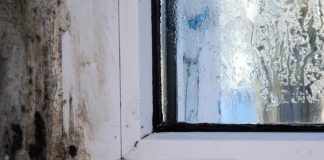 Awaab’s Law comes into force to protect tenants from deadly damp and mould