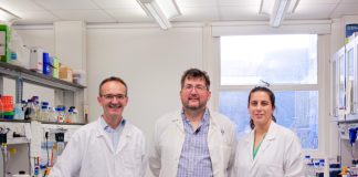 Warwick antibiotic discovery offers new hope against drug-resistant bacteria