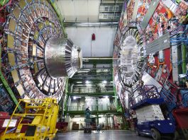 LHC detects extremely rare single top quark for the first time