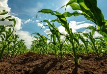 Innovative education in regenerative agriculture farming