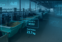 Revolutionising feed efficiency: How C-Lock is transforming livestock nutrition Revolutionising feed efficiency: How C-Lock is transforming livestock nutrition