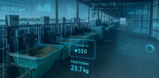 Revolutionising feed efficiency: How C-Lock is transforming livestock nutrition