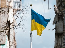 Russia-Ukraine war fuels AMR crisis: Europe needs new antibiotics