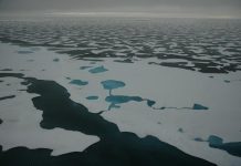 Space dust could be the key to monitoring Arctic sea ice changes Space dust could be the key to monitoring Arctic sea ice changes