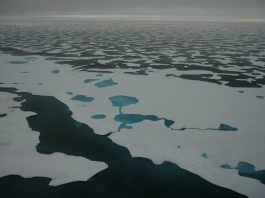 Space dust could be the key to monitoring Arctic sea ice changes