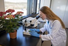 Niagara College: Leading applied research in key agri-food sectors