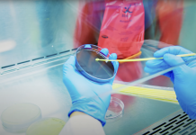 From discovery to solutions: McGill’s multidisciplinary and collaborative approach to combating antimicrobial resistance antimicrobial resistance