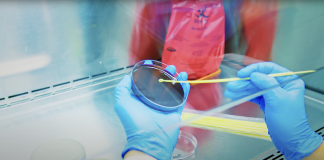 antimicrobial resistance