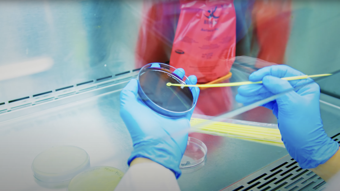 antimicrobial resistance