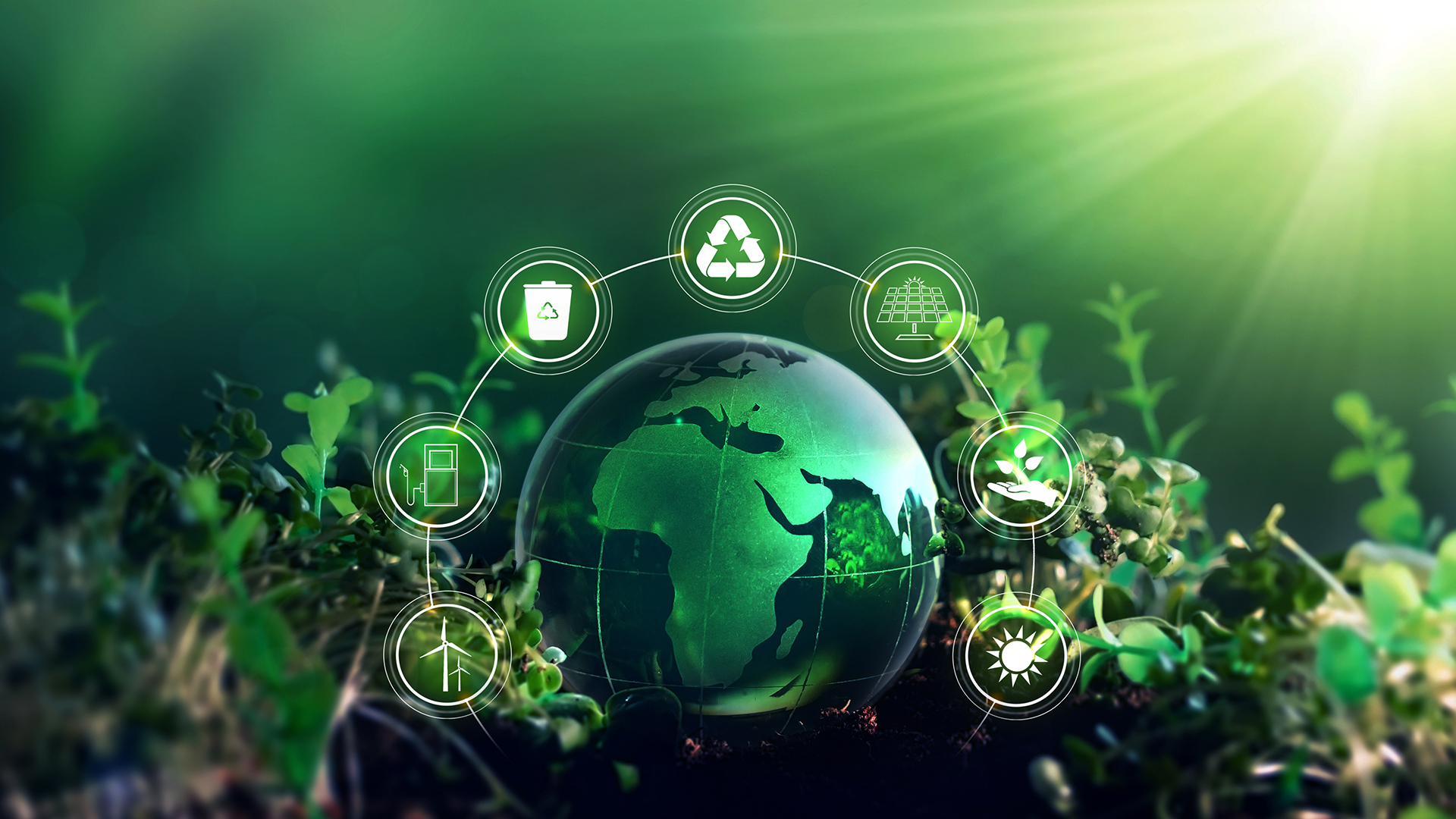 Biosolutions: Engineering a sustainable future, a path to net zero, and economic resilience