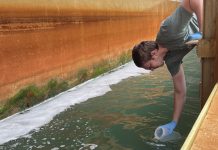 Investigating AMR in wastewater AMR in wastewater