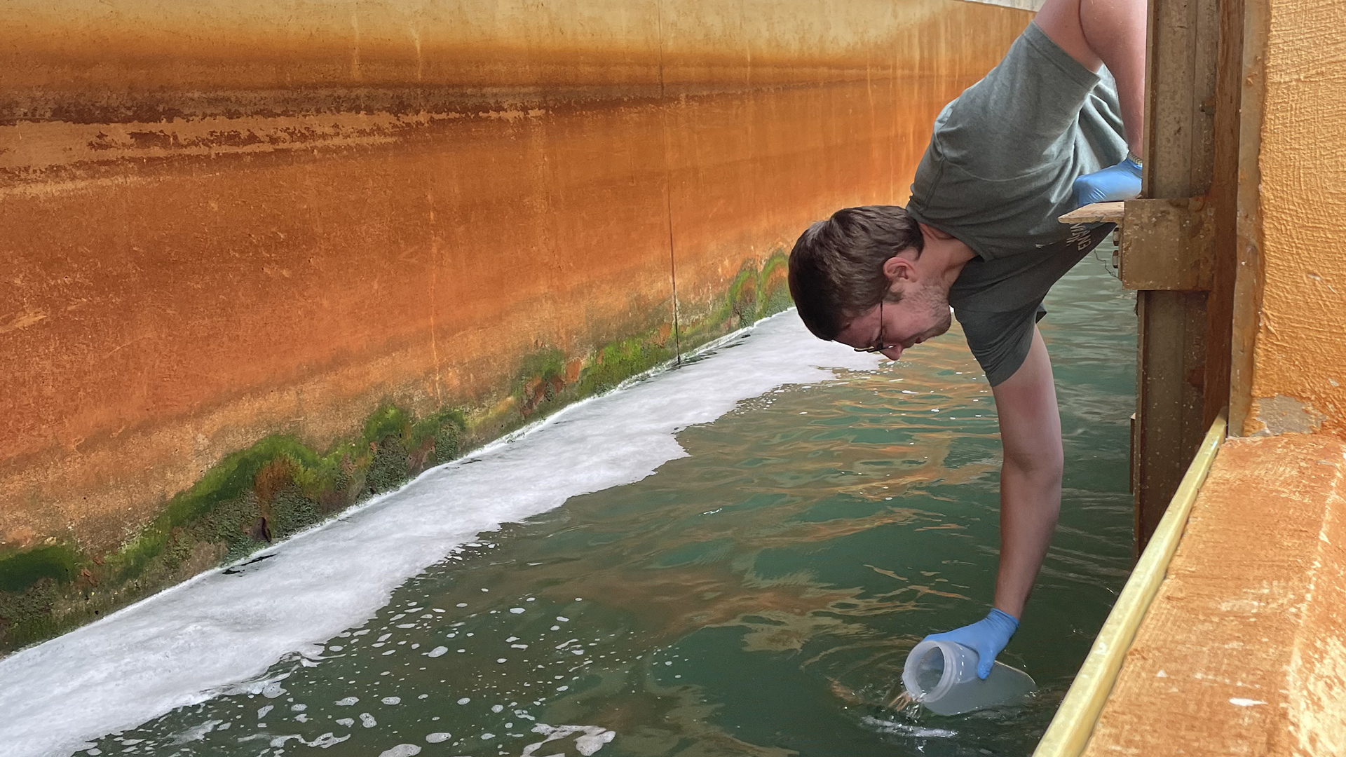 Investigating AMR in wastewater