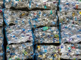 Why is the UK still exporting recyclable waste?