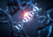 PFx Biotech advances precision fermentation to deliver human lactoferrin at scale PFx Biotech advances precision fermentation to deliver human lactoferrin at scale