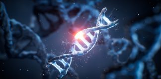 PFx Biotech advances precision fermentation to deliver human lactoferrin at scale