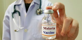 malaria vaccine