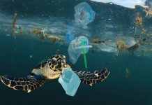 Global shipping leaders unite to tackle ocean plastic pollution ocean plastic pollution