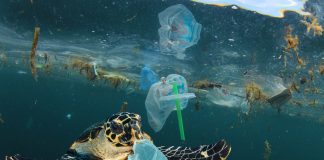 ocean plastic pollution