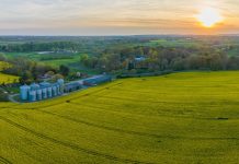 How BECCS can help deliver Europe’s 2040 industrial carbon removal targets