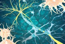 MHRA signals major changes for rare disease treatment MHRA signals major changes for rare disease treatment