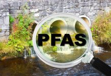 RSC urges UK Government to introduce polluter pays principle to tackle PFAS PFAS