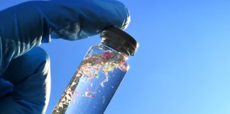 Growing levels of microplastics contribute to AMR, study finds