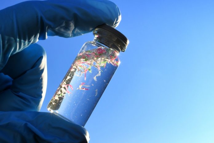 Growing levels of microplastics contribute to AMR, study finds