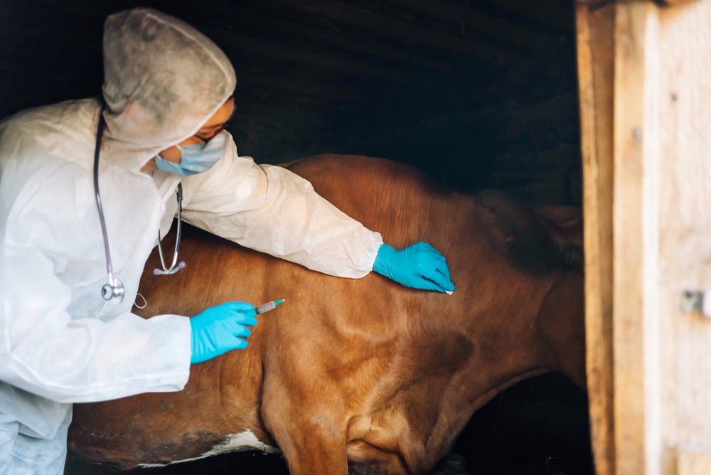 Europe urged to treat animal disease prevention as a strategic investment