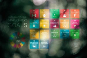 A comprehensive guide to the 17 UN Sustainable Development Goals – Innovation News Network