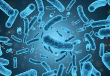 mRNA therapy shows potential to combat antibiotic-resistant infections