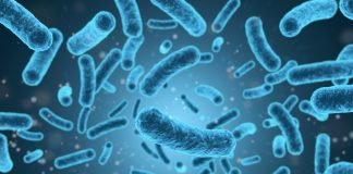 mRNA therapy shows potential to combat antibiotic-resistant infections
