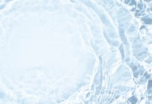 Stopping PFAS at the source: Permeable adsorption barriers and phytoremediation