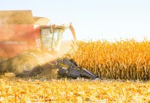 How post-harvest innovation strengthens global food security