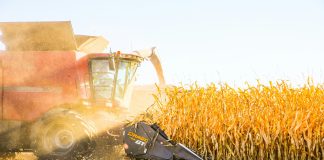 How post-harvest innovation strengthens global food security