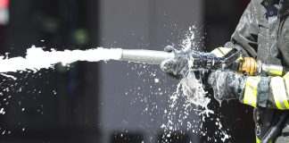 Fighting forever chemicals from within: How microbiome science is shaping the next frontier against PFAS