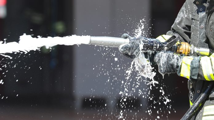 Fighting forever chemicals from within: How microbiome science is shaping the next frontier against PFAS