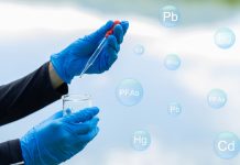 Widespread photosynthetic bacterium could help reduce PFAS pollution