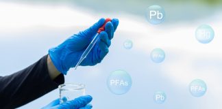 Widespread photosynthetic bacterium could help reduce PFAS pollution