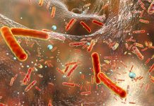 Hypothiocyanite: The rise of a promising one-health molecule