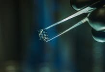 SMARTLINE-PV: Sustainable and scalable solar energy conversion with tin-based perovskites