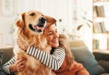 Vetigenics: Advancing precision immunotherapies for companion animals