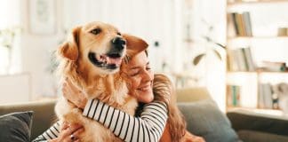 Vetigenics: Advancing precision immunotherapies for companion animals